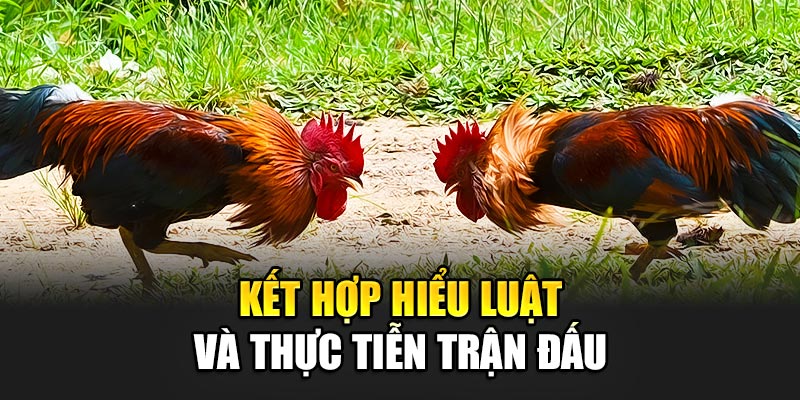 Kết hợp hiểu luật và thực tiễn trận đấu